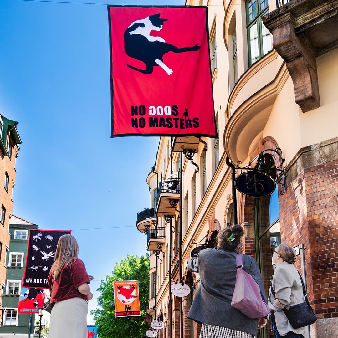 tre personer ser upp mot stora flaggor som hänger längs med gatan