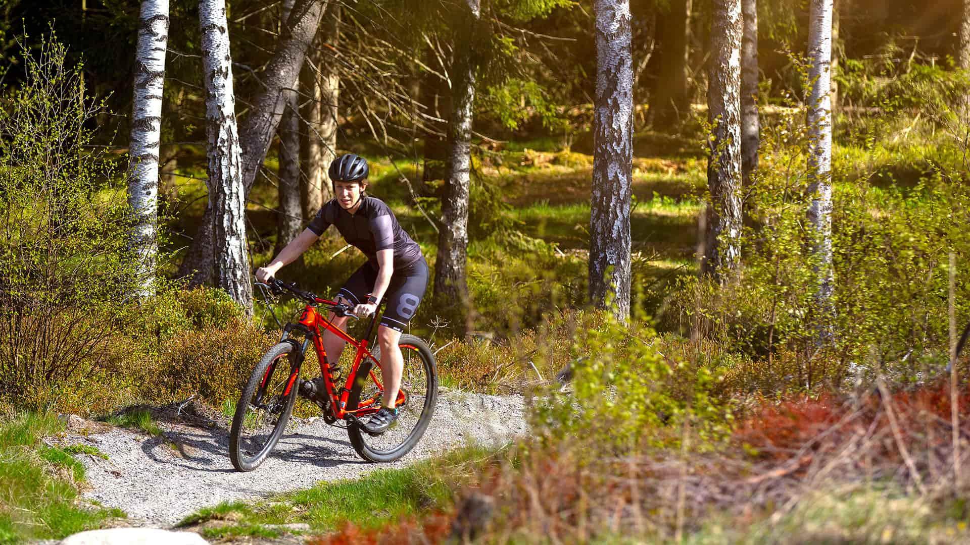 MTB-cyklist på stig