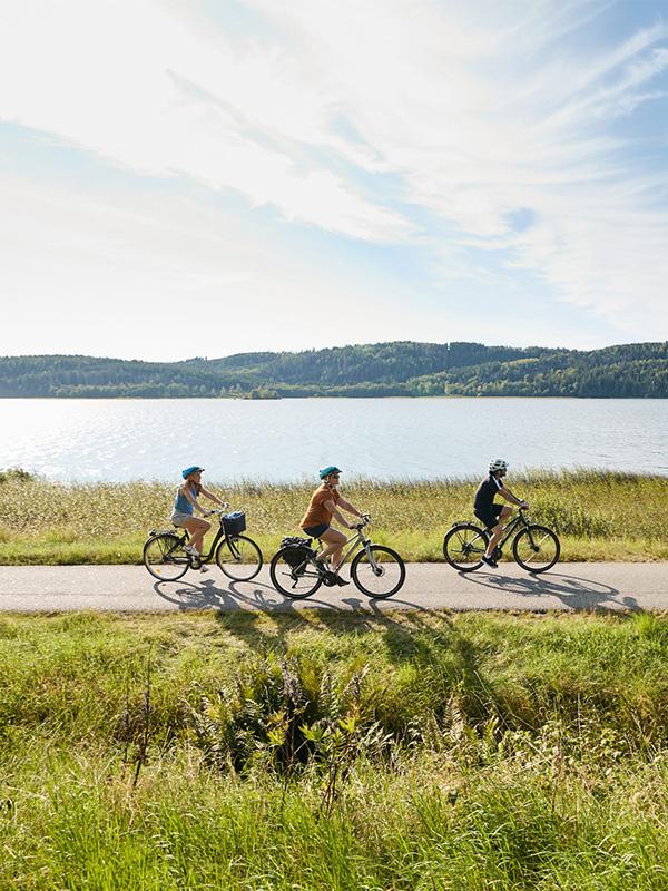 Tre personer som cyklar.
