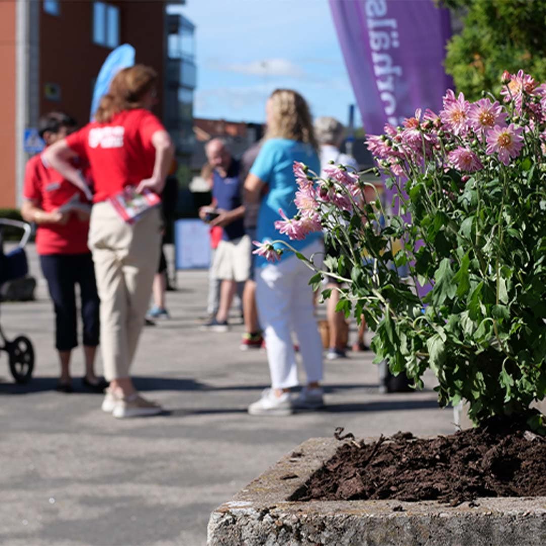 Blommor i förgrund och personer står i bakgrunden o pratar