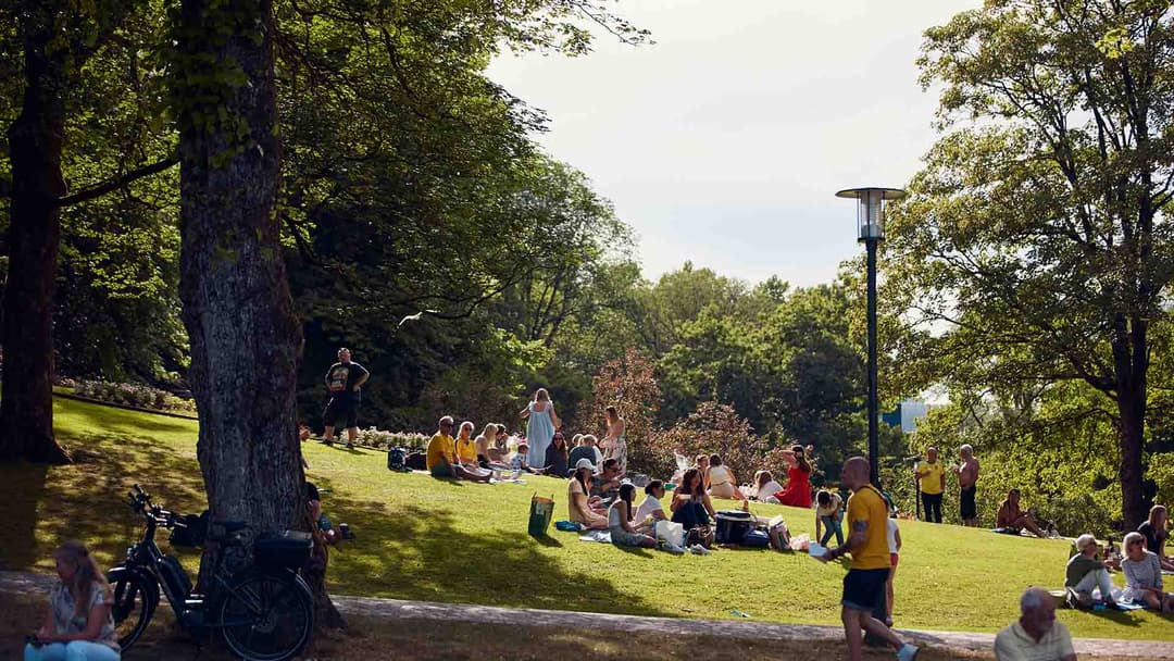 Fira Borås födelsedag