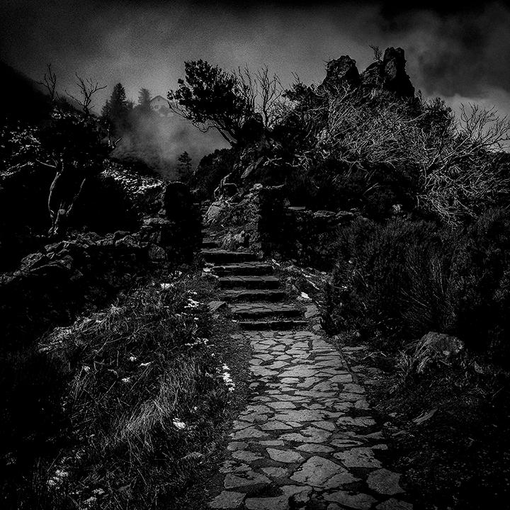 Foto från utställningen Hello darkness av Patrik Wennerlund