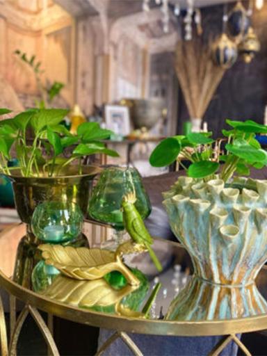 Ett glasbord med krukor och växter på.