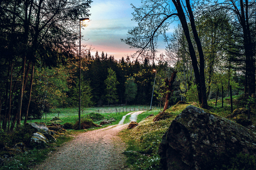 Rya åsar på våren i skymning