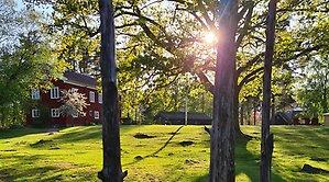 natur vid Borås museum