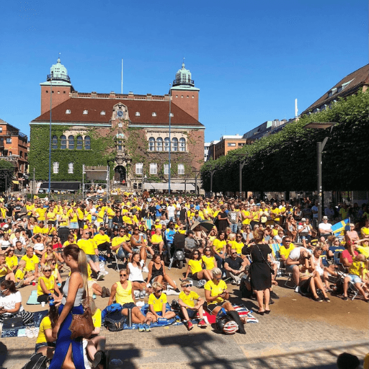 Storbildsvisning Fotbolls-VM: Nederländerna – Sverige
