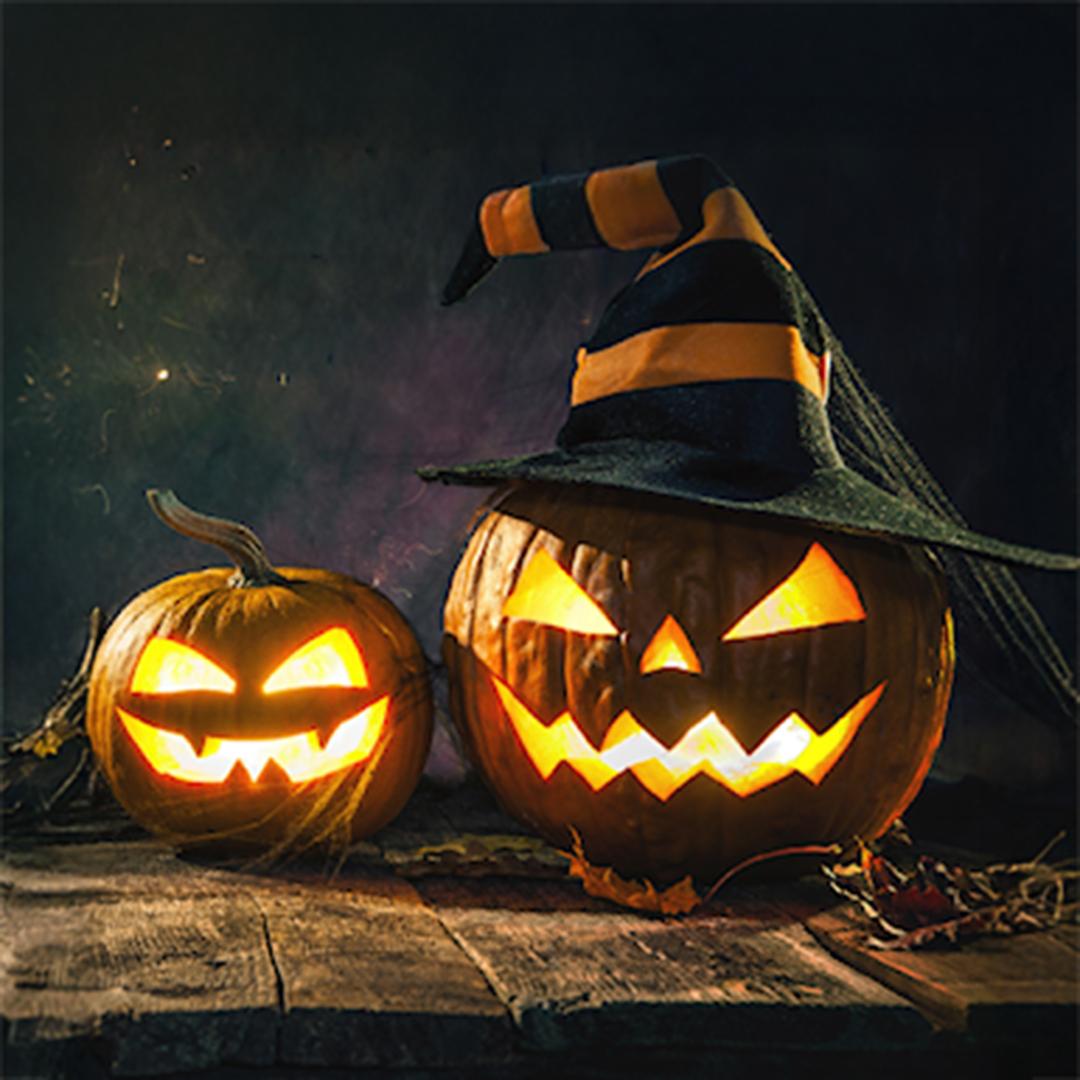 halloween pumpor med ljus i