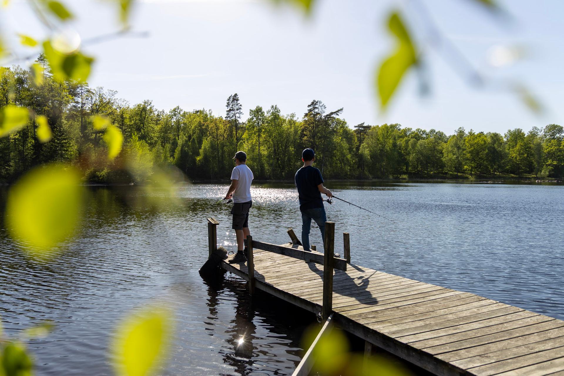 Gratis fiske för barn