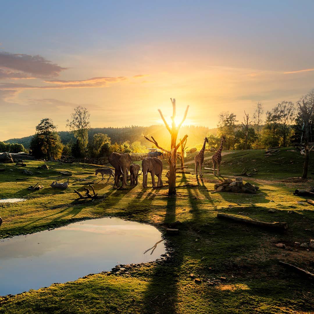 Spendera påsklovet i Borås