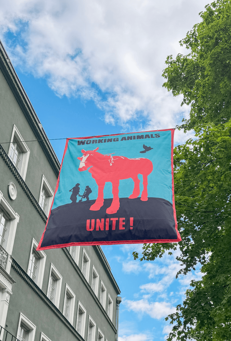 Grafisk bild med texten Inspiration på.