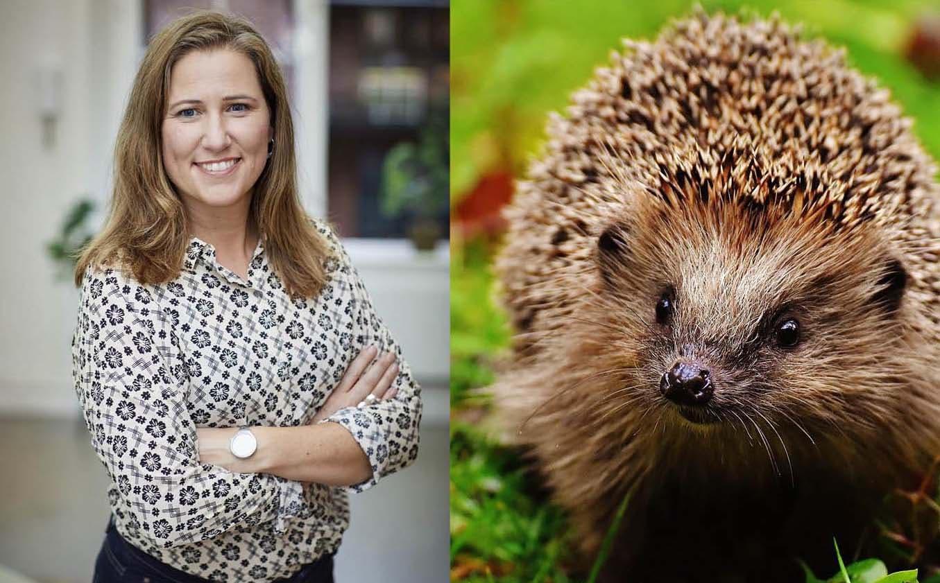 Montage med bild på kvinna och bild på igelkott.