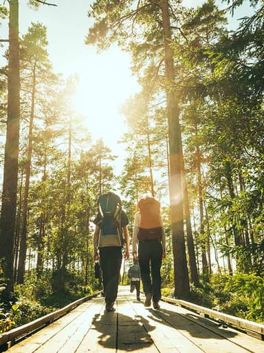 Två personer som vandrar i en grönskande skog.
