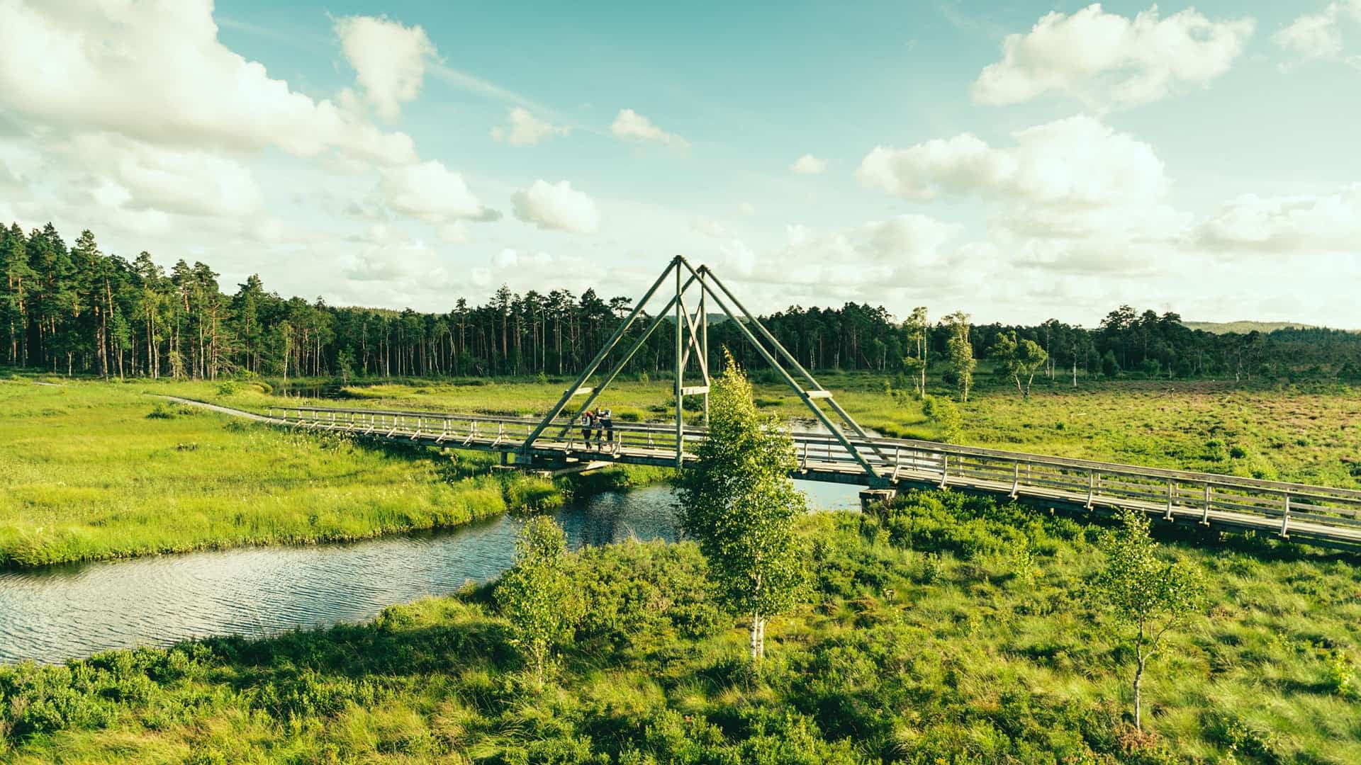 Vänga Mosse