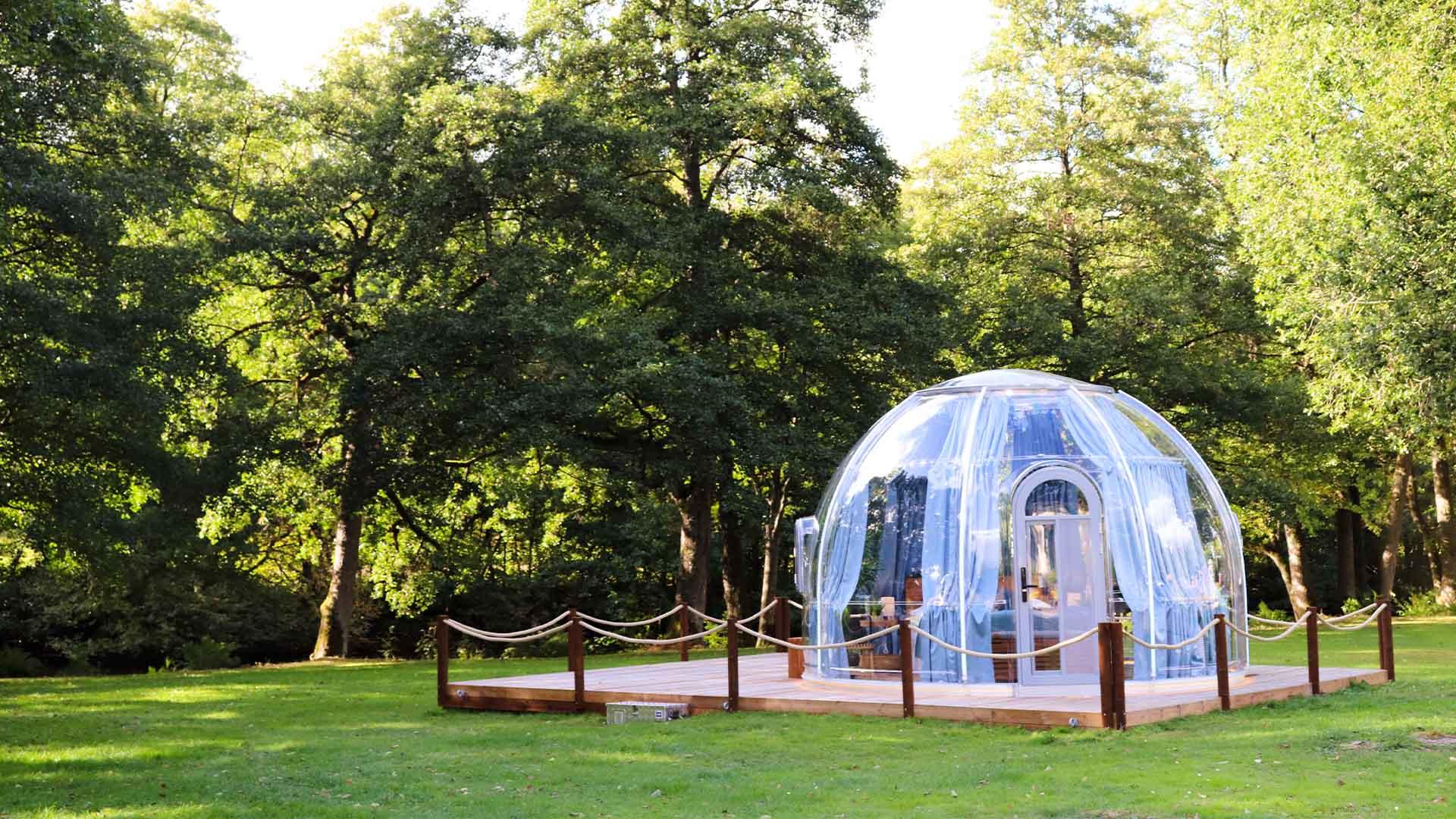 En glasigloo placerad på en gräsmatta, omgiven av skog.