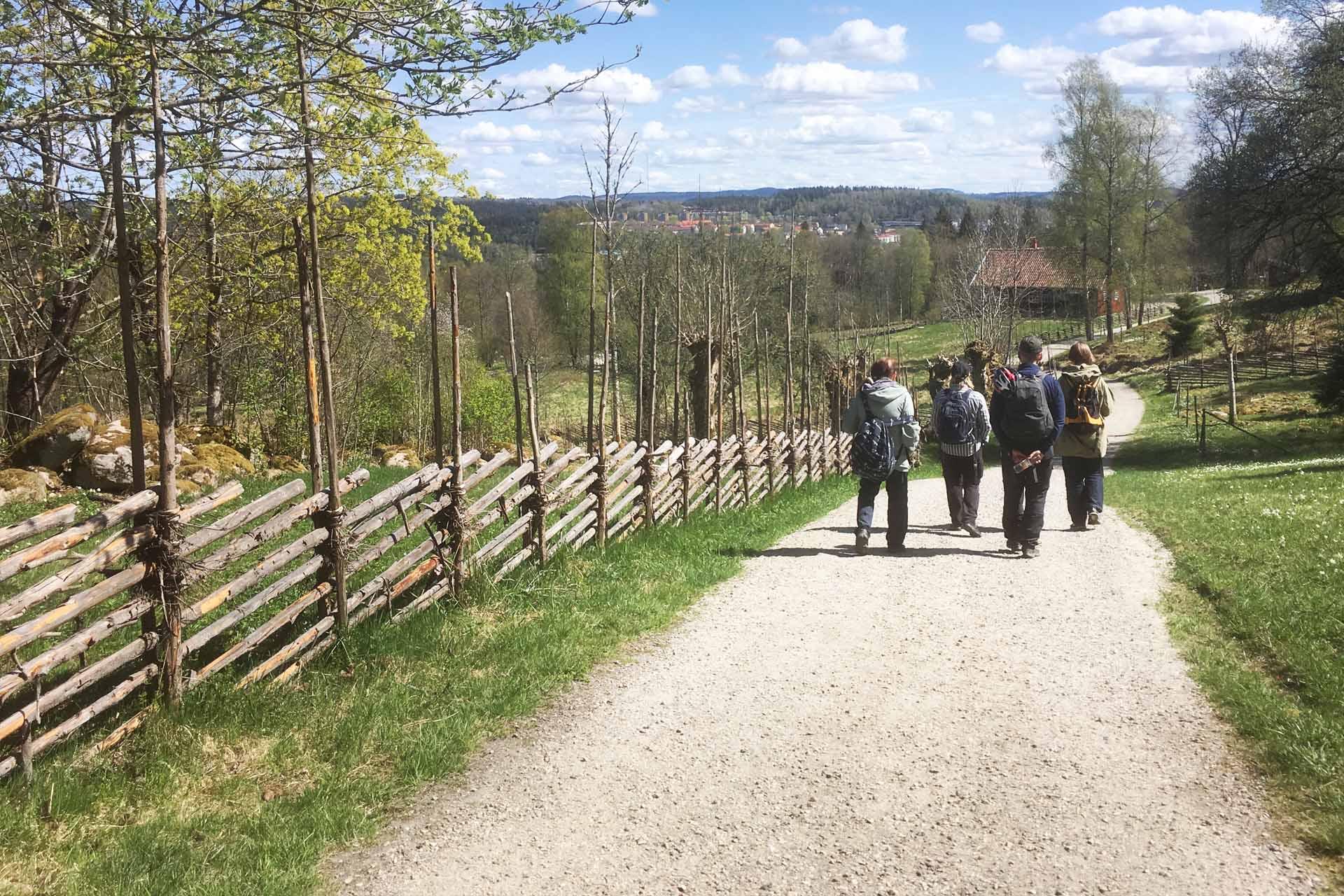 En grupp människor går på stig i öppet landskap.