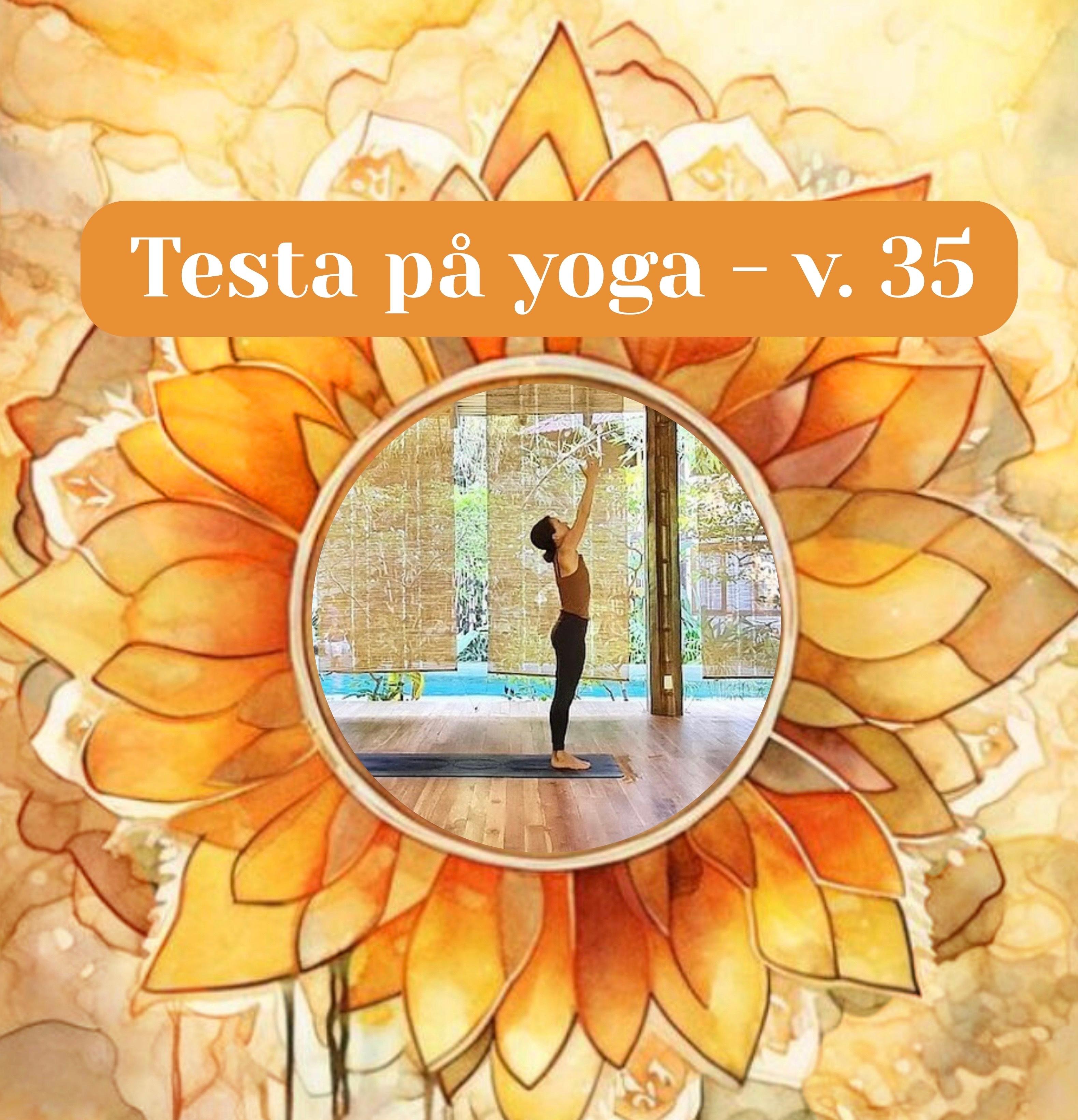 prova på yoga