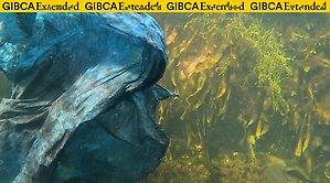 Textil fotograferad under vatten