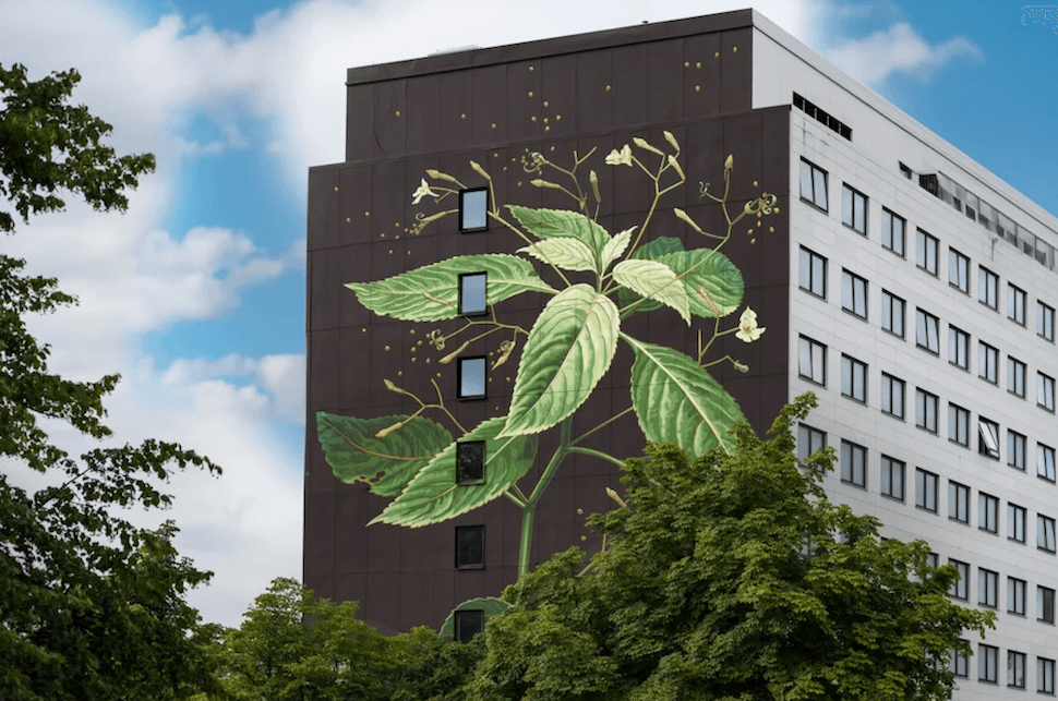 Muralmålning av en växt.