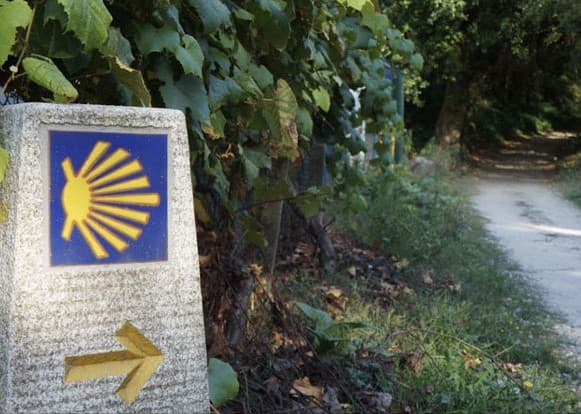 Från pilgrimsleden till Santiago de Compostela
