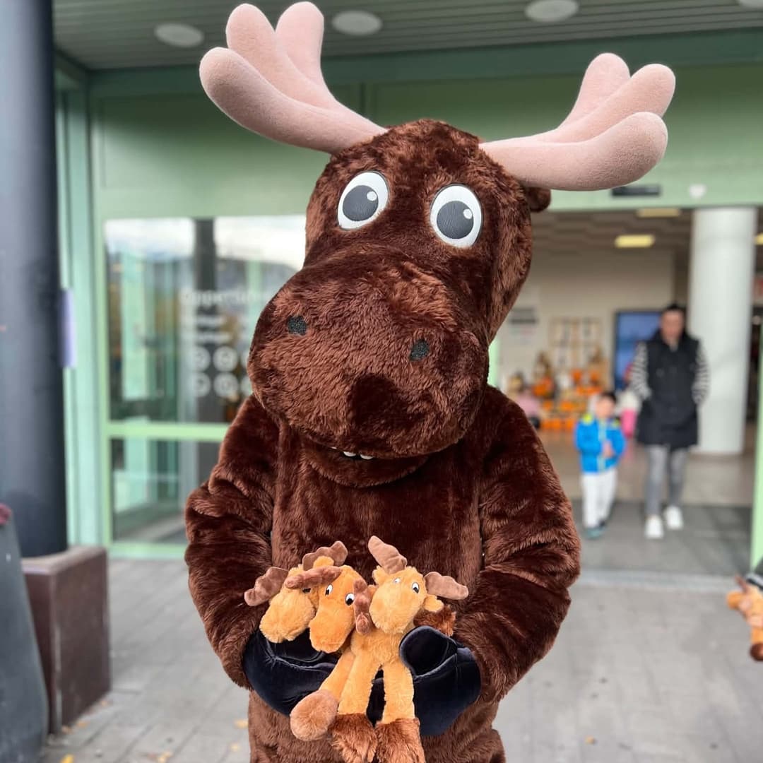 Älgjakt i Knalleland